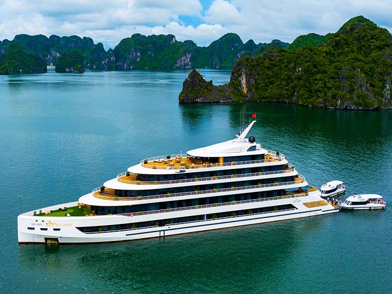 Sea Stars - Halong Bay and Lan Ha Bay Cruise 3 Days 2 Nights
