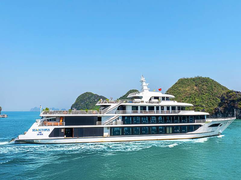 Sea Octopus Cruise - Halong Bay Day Cruise (7-Hour Cruise)