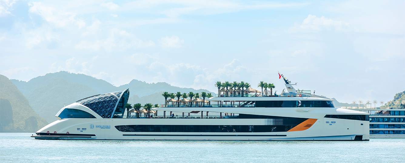Dolphin Cruise - Halong Bay Day Cruise (7-Hour Cruise)